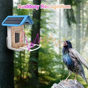Quality House Standing Solar Powered Smart Bird Feeder with Trail Camera for sale