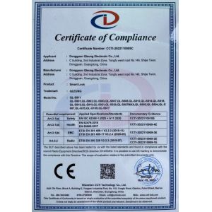 Dongguan Qleung Electronic Co., Ltd. Certifications