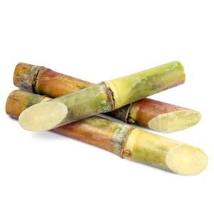 China Pure Sugar Cane Wax Extract Natural Sugar Replacement A Natural Compound on sale