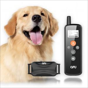 Quality Wireless Electronic Dog Training Collar With Remote Beep Vibration Shock for sale