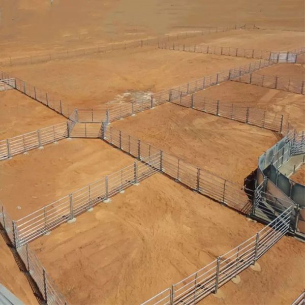 Heavy Duty Hot Dipped Galvanized Corral Panel Fence Round Pipe Horse Panels