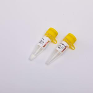 China Gold Reverse Transcriptase PCR Reagents R3001 2000U on sale