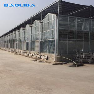 Quality Solar Polycarbonate Sheet Greenhouse / Agricultural PC Sheet Greenhouse for sale