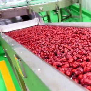 China Chinese Date Fruit Juice Processing Line , ISO9001 Fruit Pulp Processing Plant on sale