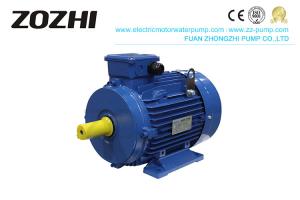 Quality 0.09kw 50/60Hz 3 Phase Asynchronous Motor Totally Enclosed For Wood Cutting Machine for sale