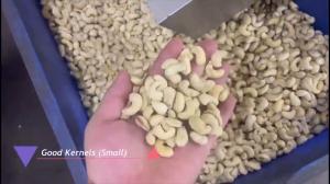 China Advanced Cashew Sorting Equipment For Vietnamese Processors With Local Support And AI-Driven Nut Sorting on sale
