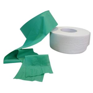 Quality Jumbo Green Colored Toilet Paper 2 Ply Nontoxic 92x115mm Practical for sale