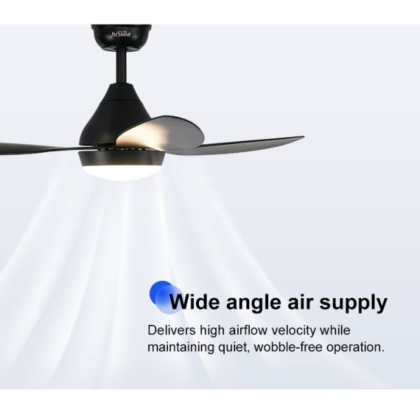 ceiling fan