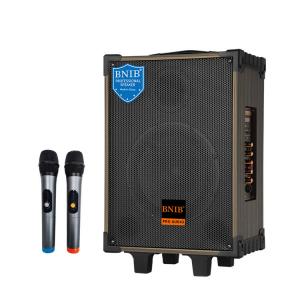 Quality OEM ODM Good Quality Heavy Bass 8 Inch Outdoor Wireless Speaker For Party for sale