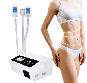 China Best 360 Fat Freezing Cryolipolisis Slimming Machine For Salon Personal Care on sale
