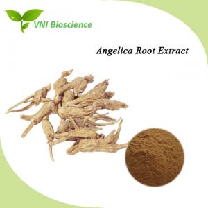 Quality Halal Certified Angelica Extract Ligustilide Ferulic Acid  Dong Quai Extract for sale