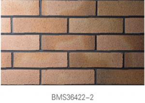 Quality Low Water Absorption Exterior Thin Brick Durable For Real Estate for sale