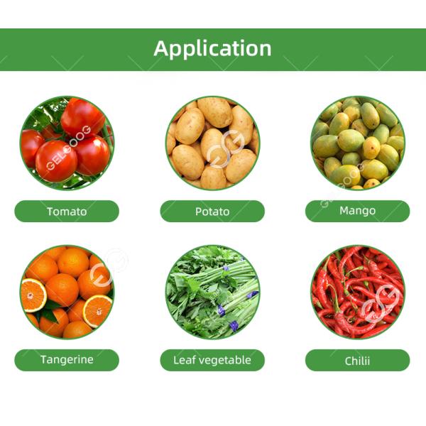 Ce Certified Stainless Steel Fruit Processing Machine Fruit Mango Apple Washing Machine