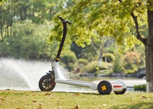 Quality DC Brushless Hub Motor Three Wheel Electric Scooter for sale