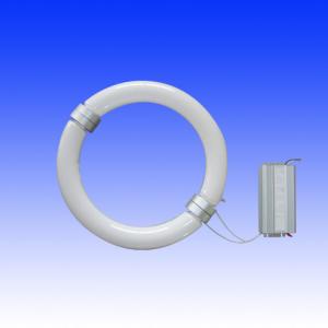 China LVD induction lamps |Round tubular LVD induction lamps on sale