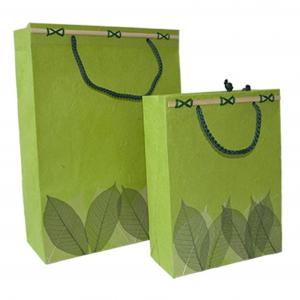 Quality Medium Lime Matt Laminated Carrier Bag g With Rope Handle Shopping Paper Bags for sale