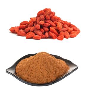 China Standardized Wolf Goji berry Fruit Extract Powder with 50% Polysaccharides on sale