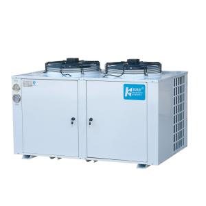 Quality Low Temp Cold Storage Refrigeration Units Chiller Fit R22 Refrigerant for sale