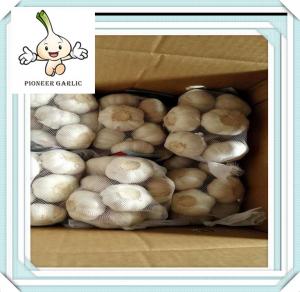 China China Agriculture Products Red Garlic Natural Vegetable Wholesale China Garlic In Bulb on sale