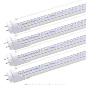 Quality 8W 2ft T8 Led Fluorescent Tube 1120 Lm 6500K Cool White Ballast Bypass G13 Base for sale