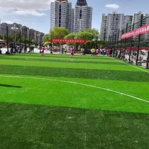 China PE PP Material Synthetic Artificial Grass For Soccer School Training on sale