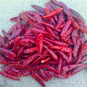 Quality Xinglong Small Red Long Tianjin Dry Chilli Peppers 100g Room Temperature for sale