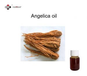 China Asthma Treatment 70% Ligustilide Angelica Essential Oil on sale