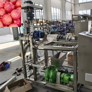 Quality Pasteurization Apple Juice Production Line 15T Capacity for sale