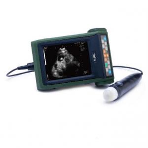 Quality B Mode Veterinary Ultrasound Scanner Sow Pregnancy Testing for sale