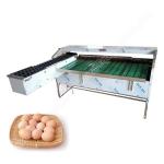 Egg Sorting Machine By Weight Sorting Line For Sorting Eggs Egg Sorting Grading