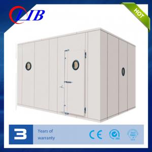 Quality Customized Walk In Temperature and Humidity Chamber Manufacturer for sale