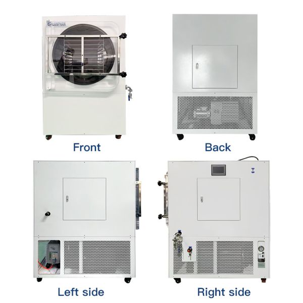 Double Compressor Vegetable Freeze Dryer Fruit Flower Vacuum Freeze Drying Equipment