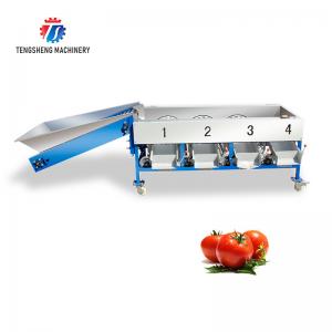 Quality 280KG Lemon screening and grading machine special stainless steel roller fruit sorting machine fruit sorting machine for sale