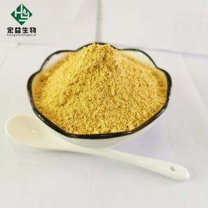 Quality Natural Herbal Extract Berberine Hydrochloride Powder Antibacterial Anti Inflammatory for sale