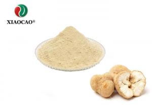 China Organic Hericium Mushroom Powder , Plant Hericium Erinaceus Powder on sale