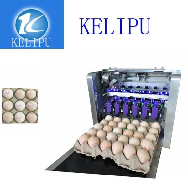Buy Clear Egg Inkjet Coding Printer With Unique Spray Hole Alignment Function at wholesale prices