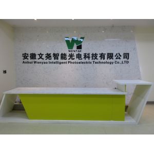 Anhui Wenyao Intelligent Photoelectronic Technology Co., Ltd