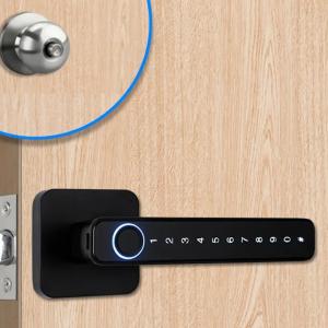 Quality Zinc Alloy Tuya APP Smart Lock Password Keyless Electronic Home Door Lock for sale