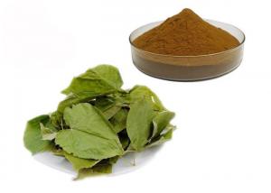 China CAS 489-32-7 Horny Goat Weed Epimedium Herbal Extract Powder on sale