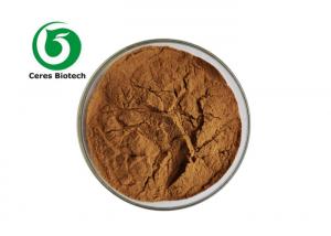 Quality Angelica Dong Quai Angelica Doubleteeth Angelica Root Extract Powder for sale