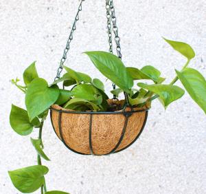 China Garden Decoration Metal Hanging Planter Basket With Coco Coir Coco Liner on sale