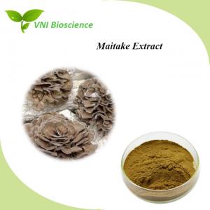 China Fruitbody Hericium Erinaceus Extract Organic Maitake Mushroom Extract Powder on sale