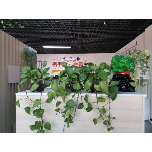 Dongguan Jinyunlai Packaging Products Co., Ltd