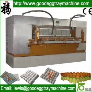 Quality Egg Tray Production Line, Pulp Molding Machine for sale