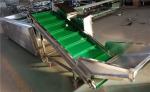 mushroom sorting machine,mushroom grading machine,walnut sorting machine,walnut