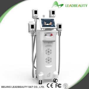 Quality wholesale body fat analysis weight loss equipment cryolipolysis machine korea for sale