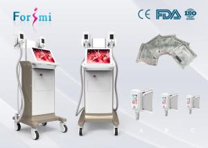 China ultrasound fat reduction 1800 W Cryolipolysis Slimming Machine FMC-I Fat Freezing Machine on sale