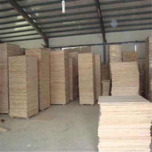 China Solid Wood Boards Paulownia Timber in 1220*2240mm Size with and Density 300-310kg/m3 on sale