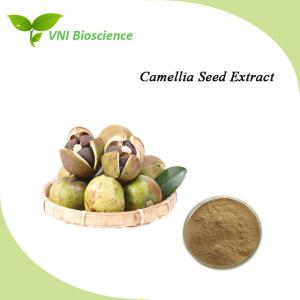 Quality OEM Camellia Seed Extract Anti Inflammatory Herbal Extraction for sale