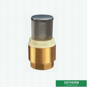 China Customized Heavier Type Brass Check Valve Vertical Stainless Steel Filter For Water Pump on sale